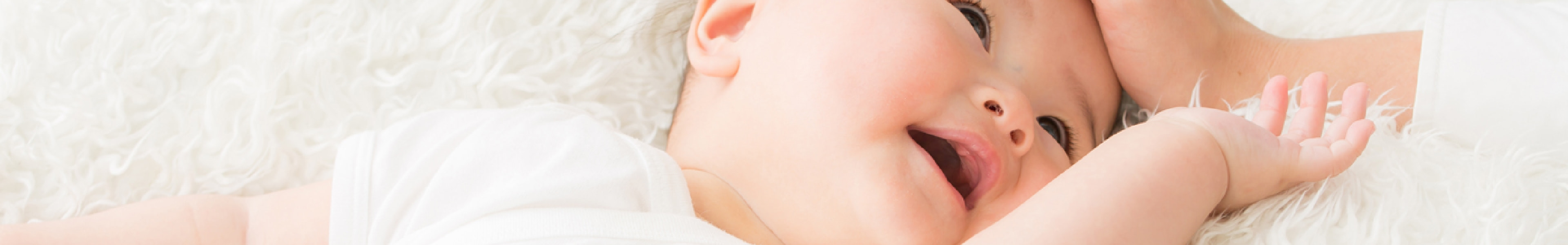 布団クリーニング コース一覧